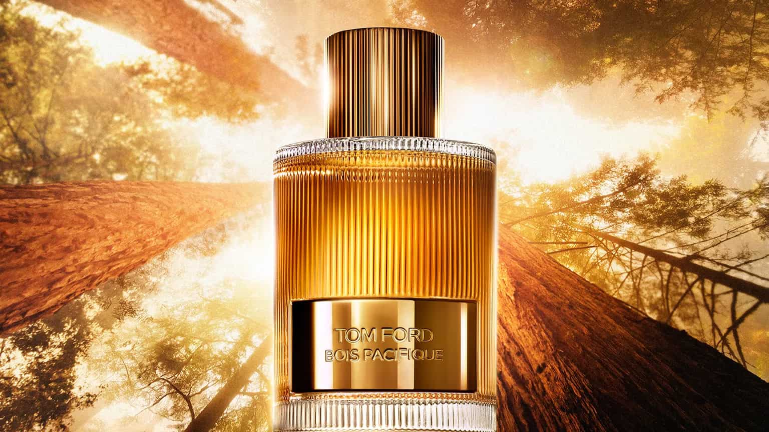 Tendencias en fragancias masculinas : 15 perfumes que marcarán el año con estilo y sofisticación